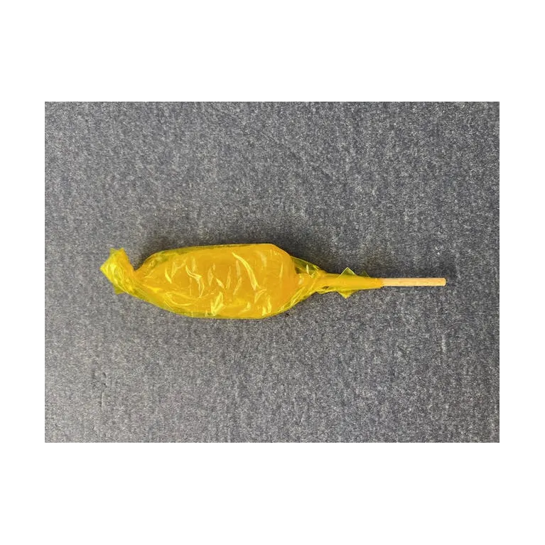 Sucette au Citron 10g Abbaye du Désert